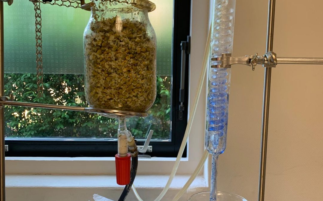 Wat is een etherische olie eigenlijk?